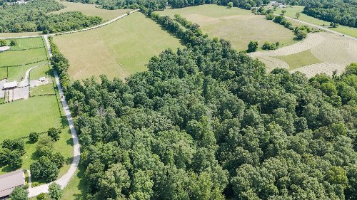 Shoals Branch Rd, Primm Springs, TN  38476