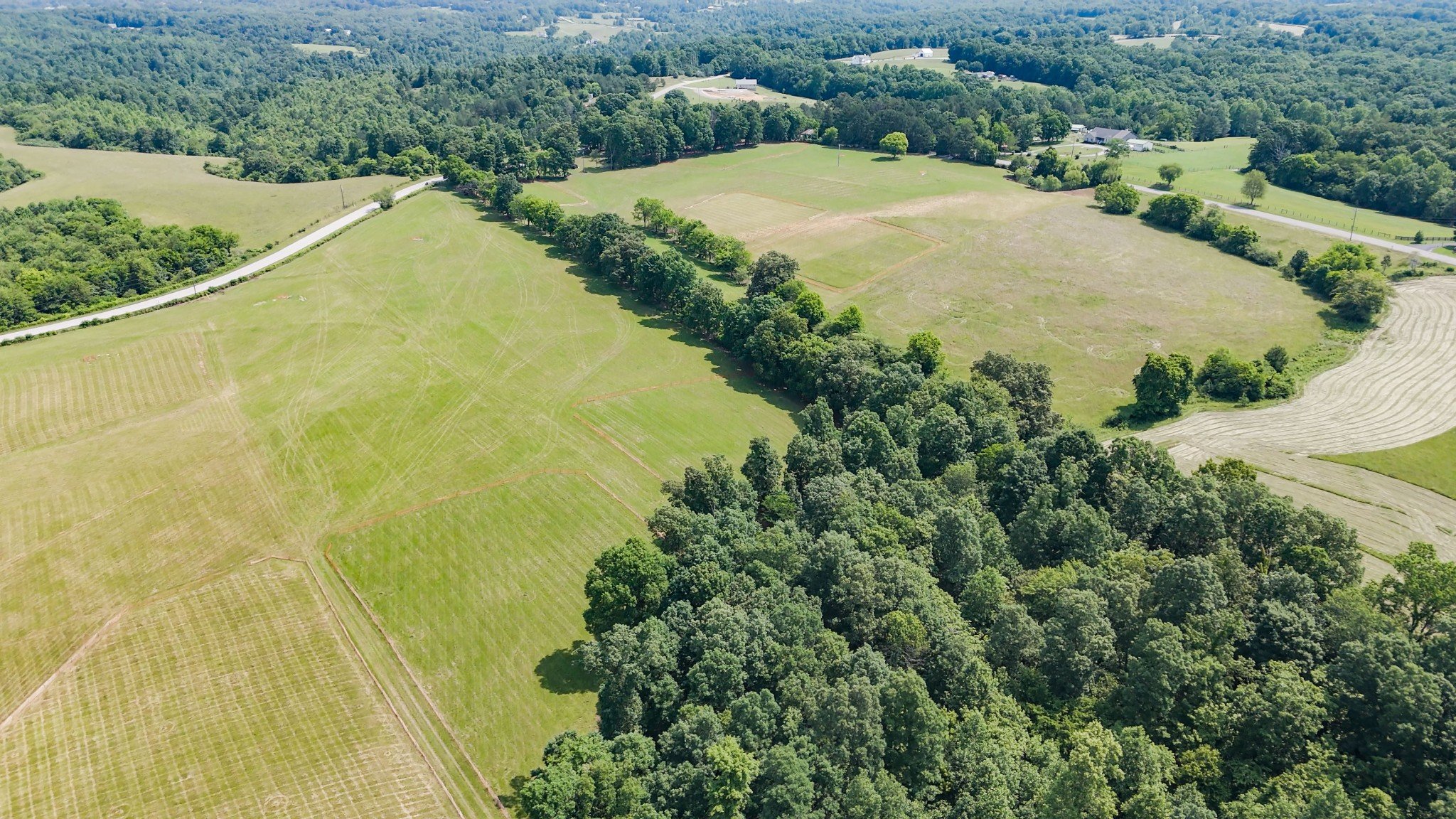 Shoals Branch Rd, Primm Springs, TN  38476