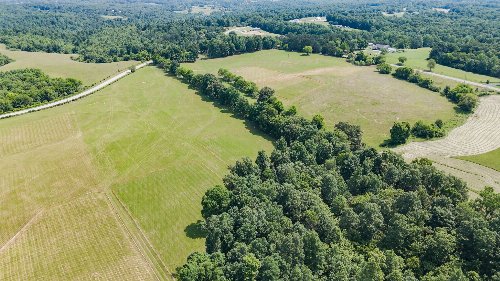 Shoals Branch Rd, Primm Springs, TN  38476