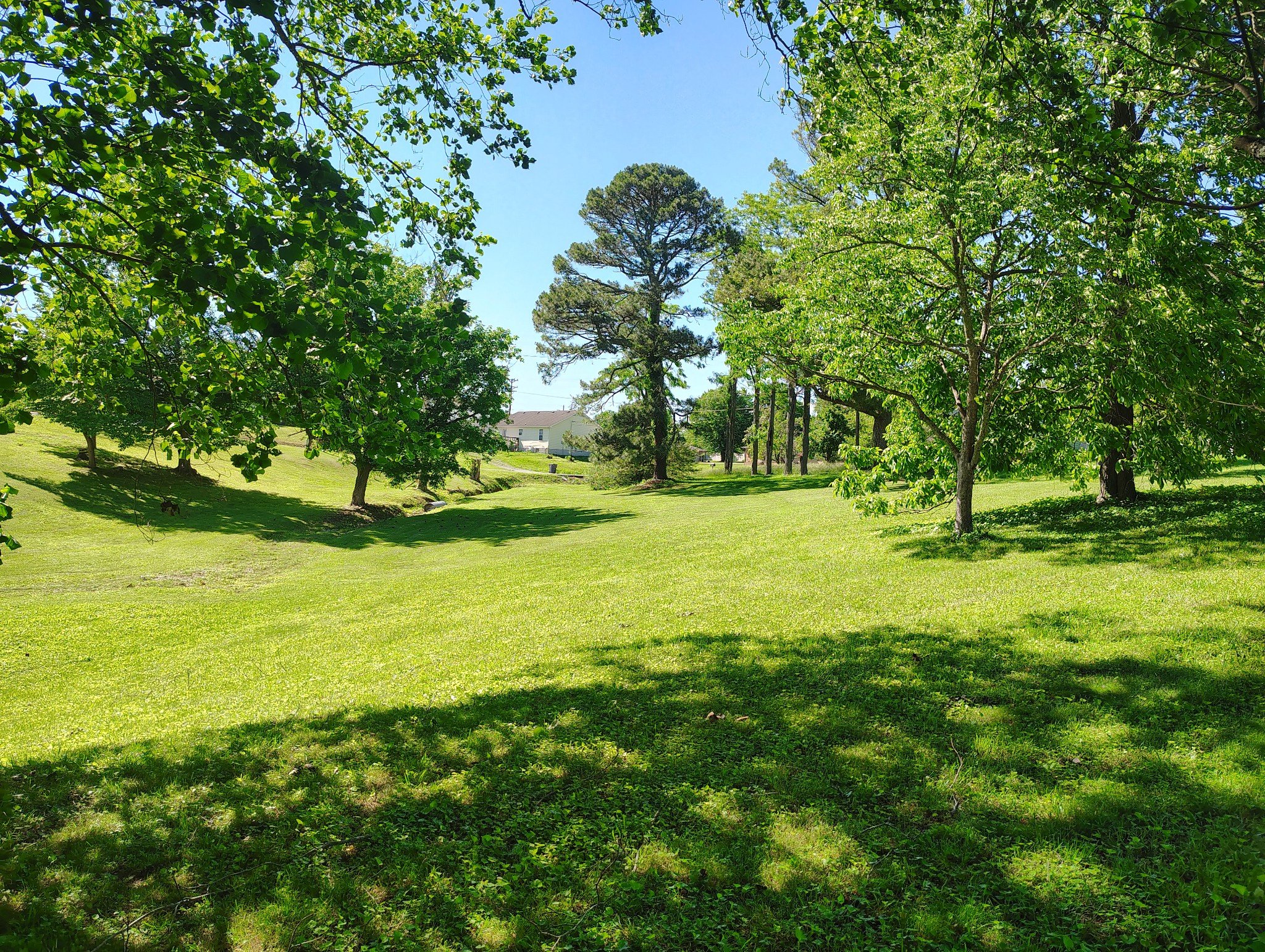 Short Street, Lafayette, TN  37083