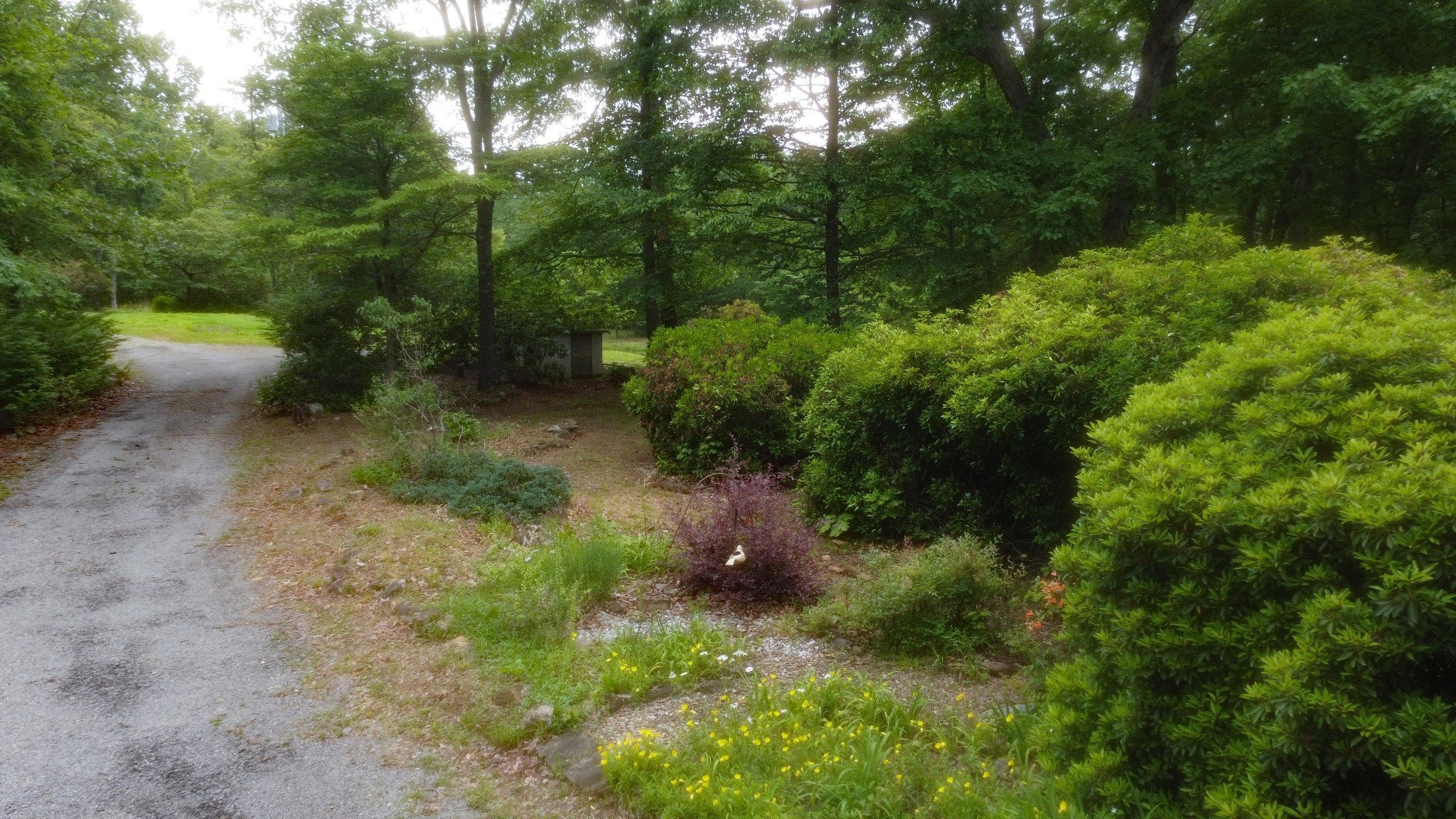 943 Old CCC Rd, Sewanee, TN  37375