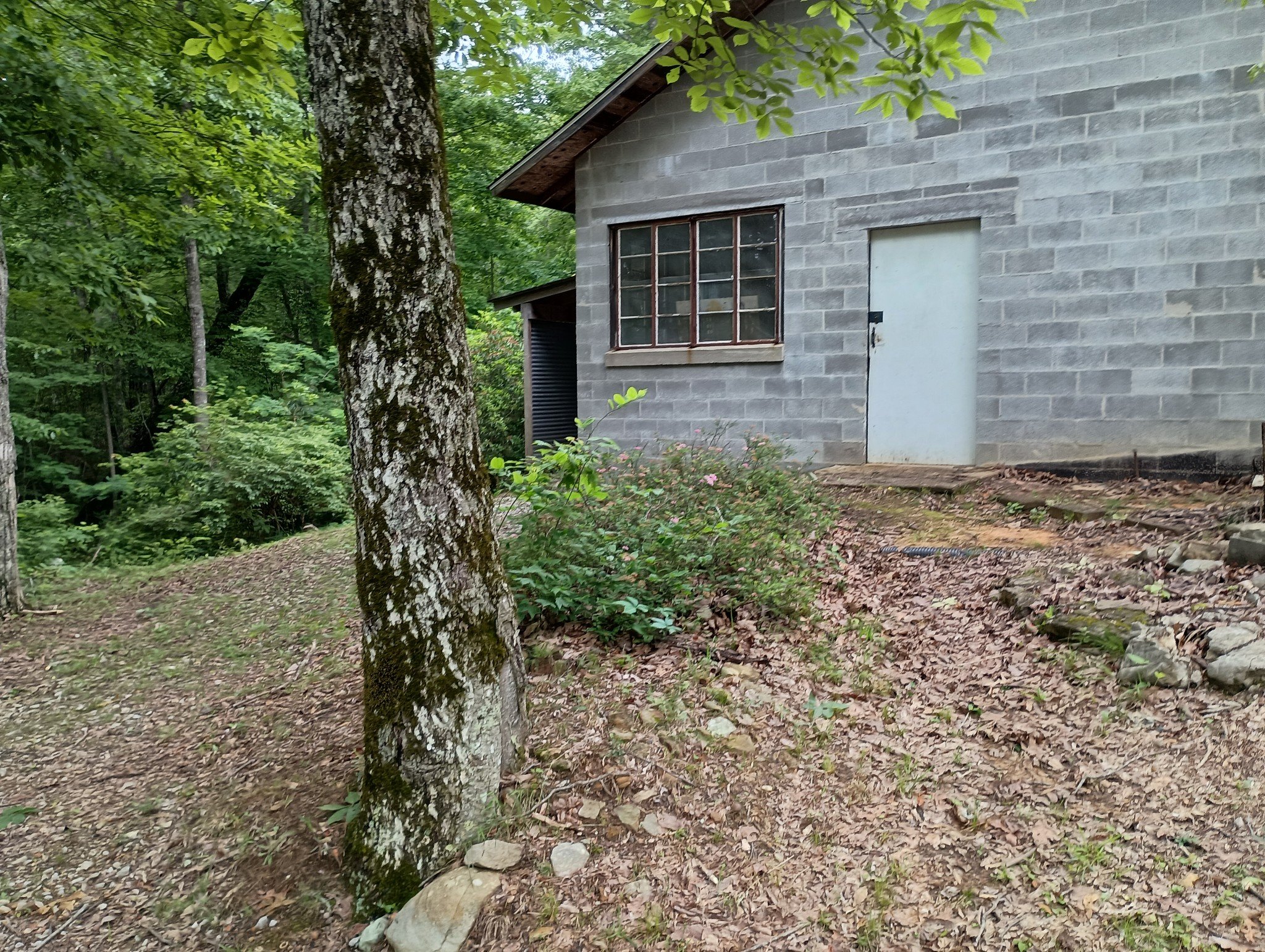 943 Old CCC Rd, Sewanee, TN  37375