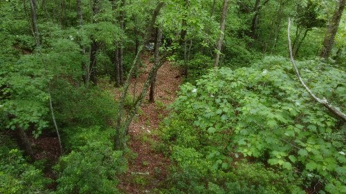 943 Old CCC Rd, Sewanee, TN  37375