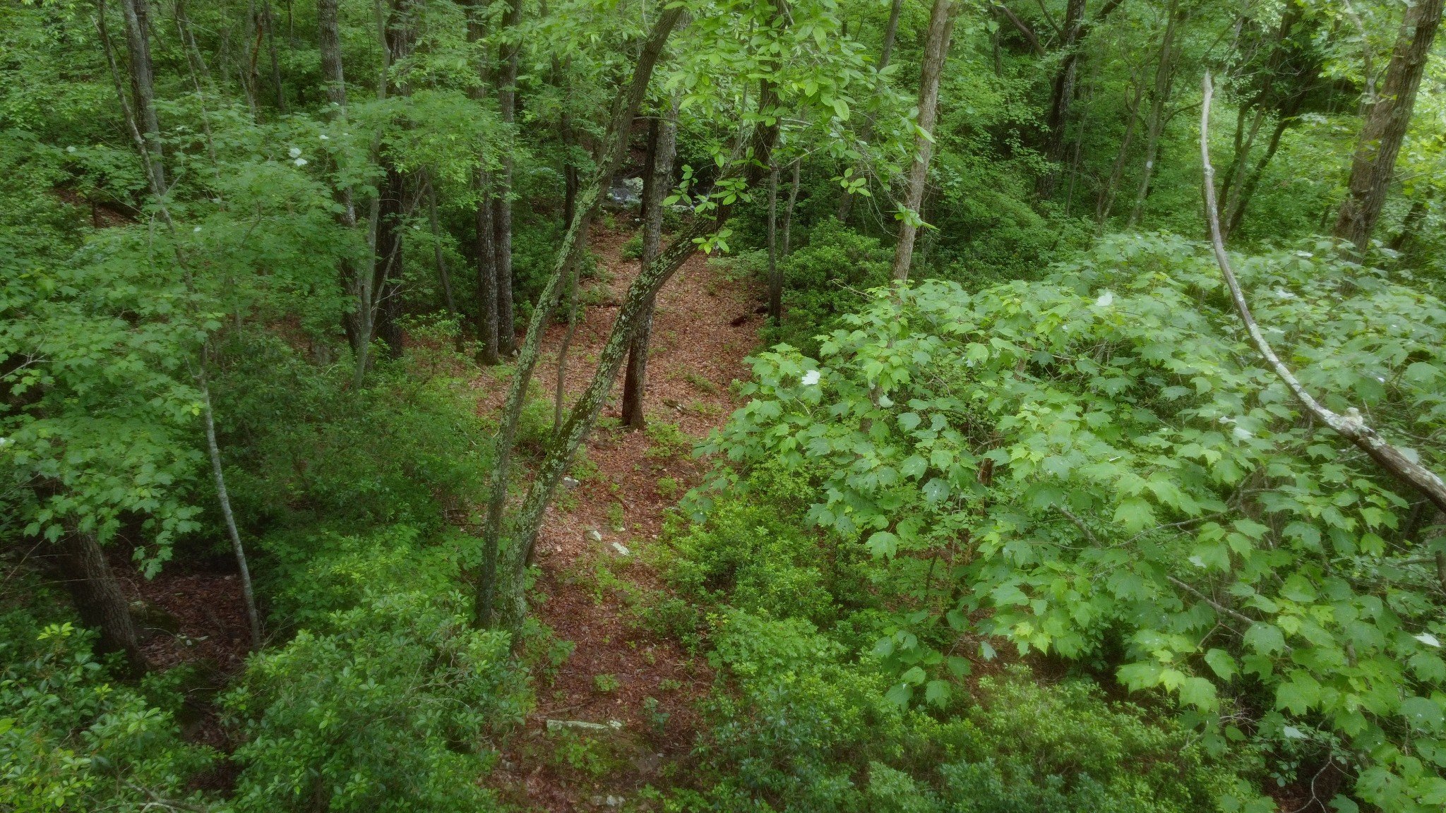 943 Old CCC Rd, Sewanee, TN  37375