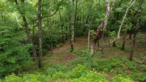 943 Old CCC Rd, Sewanee, TN  37375