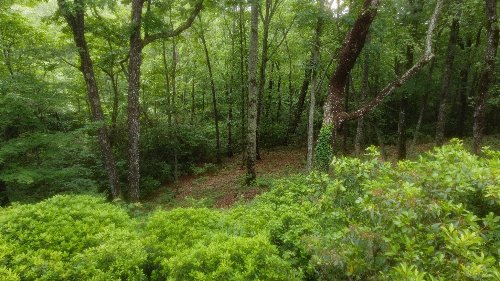 943 Old CCC Rd, Sewanee, TN  37375