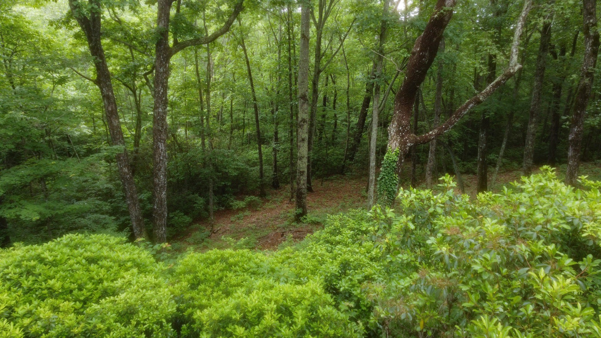 943 Old CCC Rd, Sewanee, TN  37375