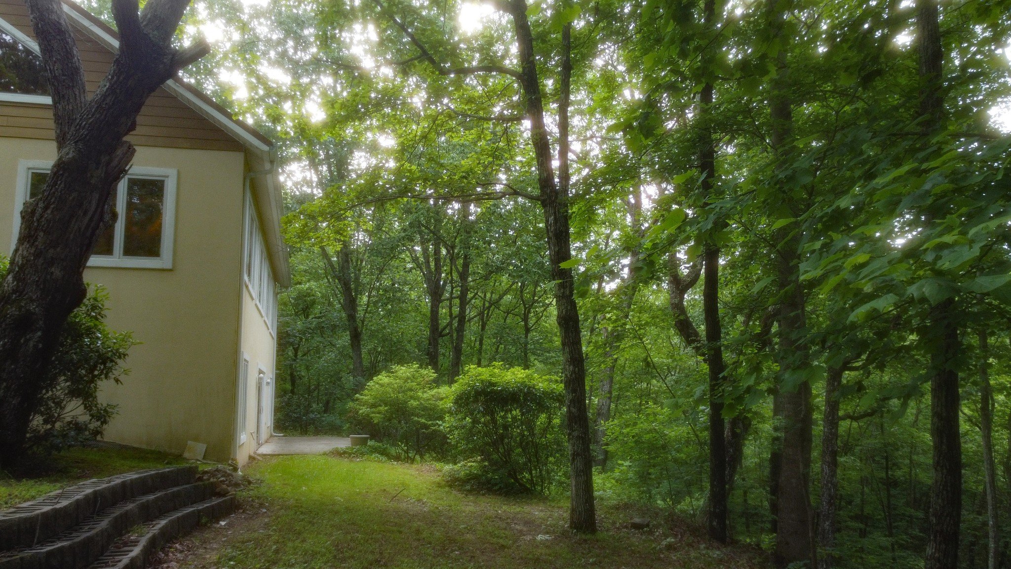 943 Old CCC Rd, Sewanee, TN  37375