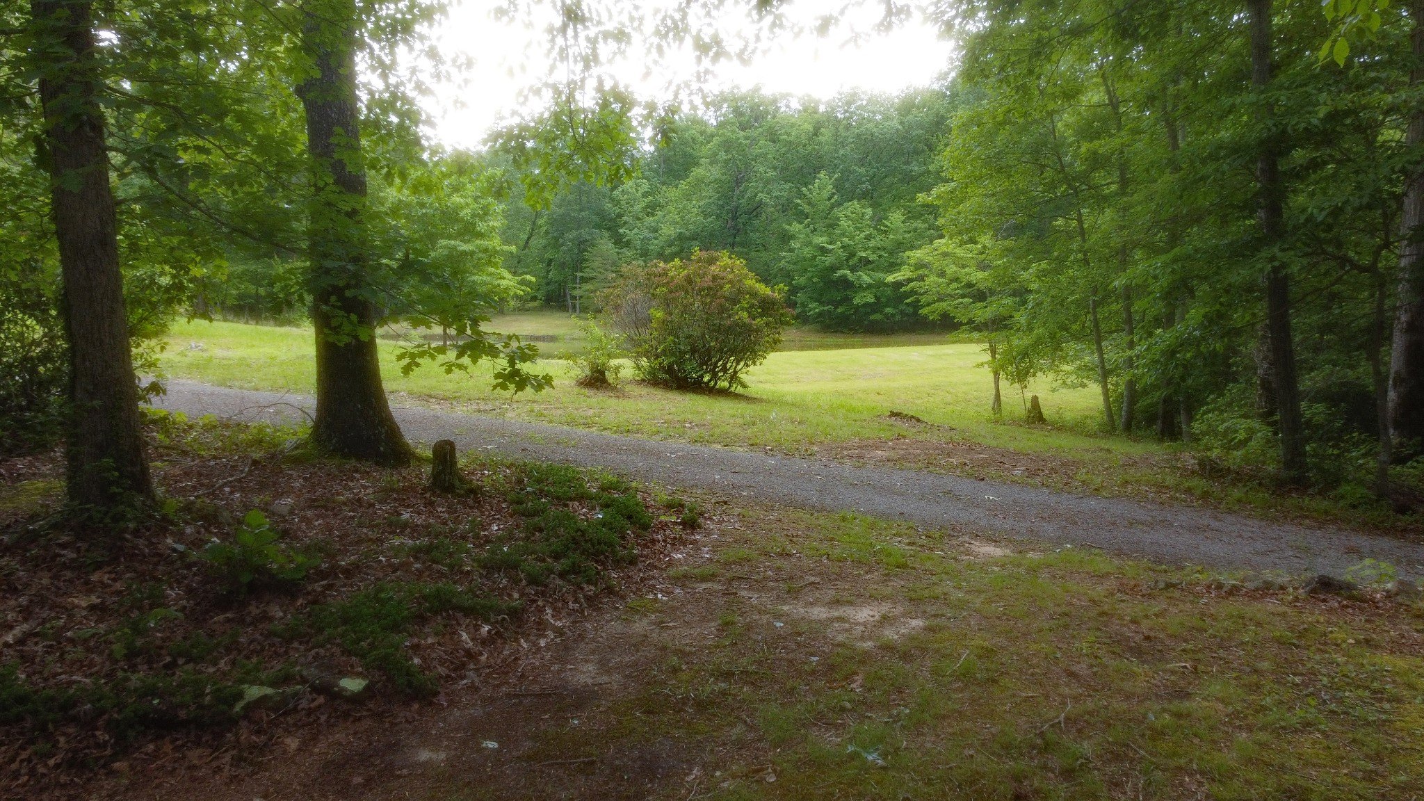 943 Old CCC Rd, Sewanee, TN  37375