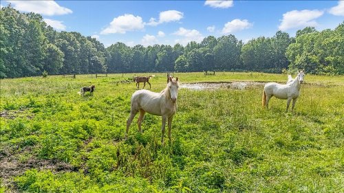 431 Jack Thomas Dr, Manchester, TN  37355