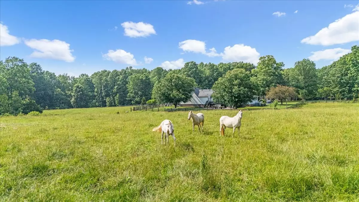 431 Jack Thomas Dr, Manchester, TN  37355