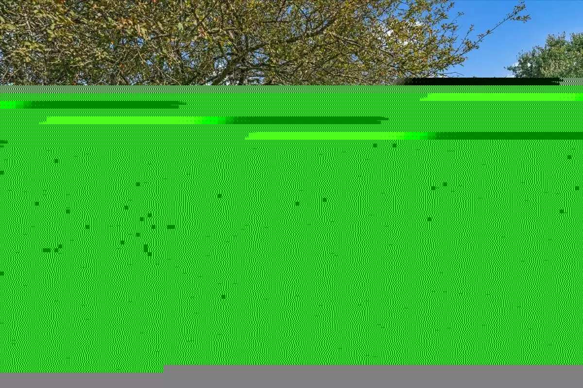 431 Jack Thomas Dr, Manchester, TN  37355