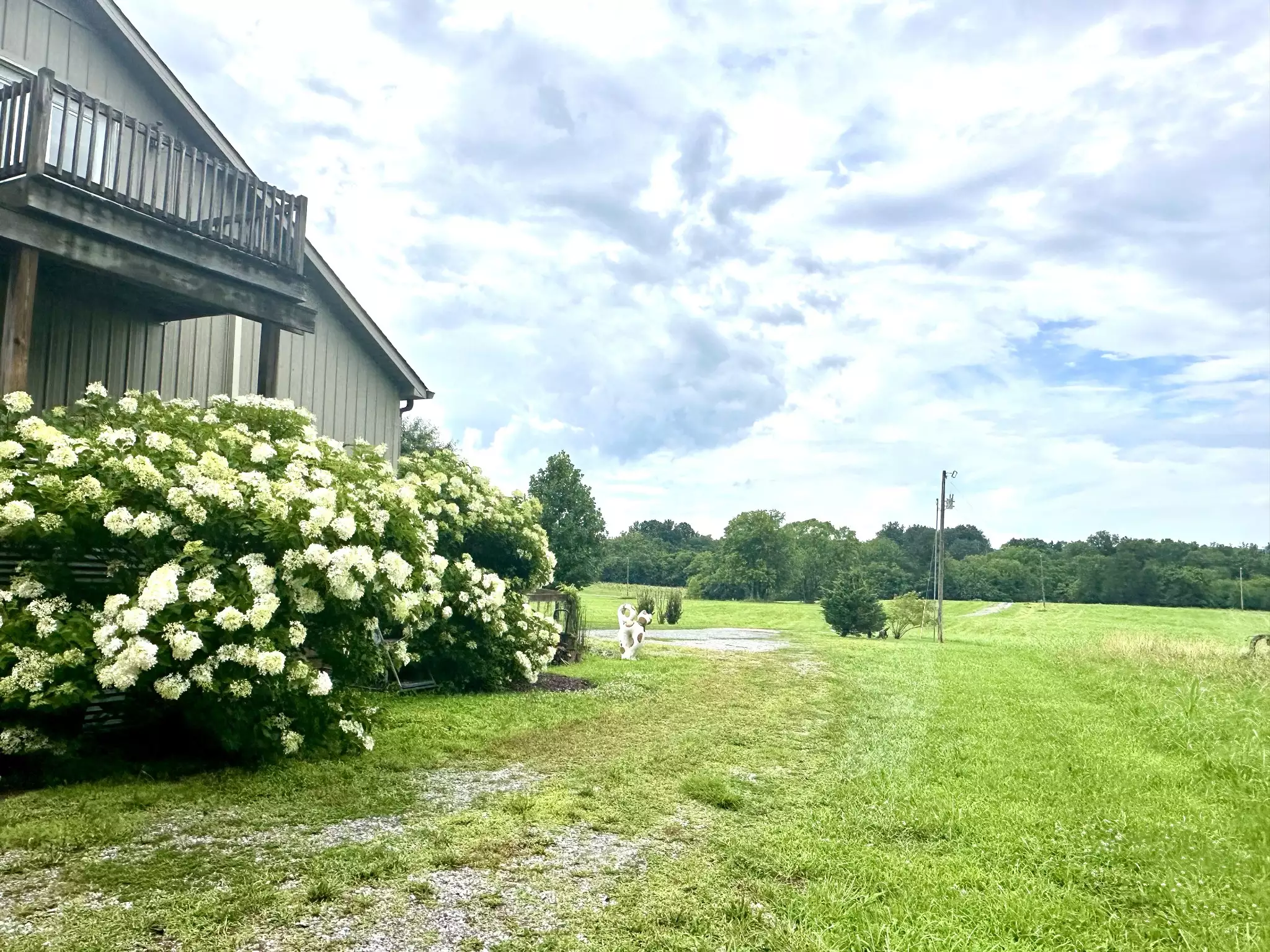 181 Bynum Rd, Bell Buckle, TN  37020