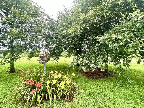 181 Bynum Rd, Bell Buckle, TN  37020