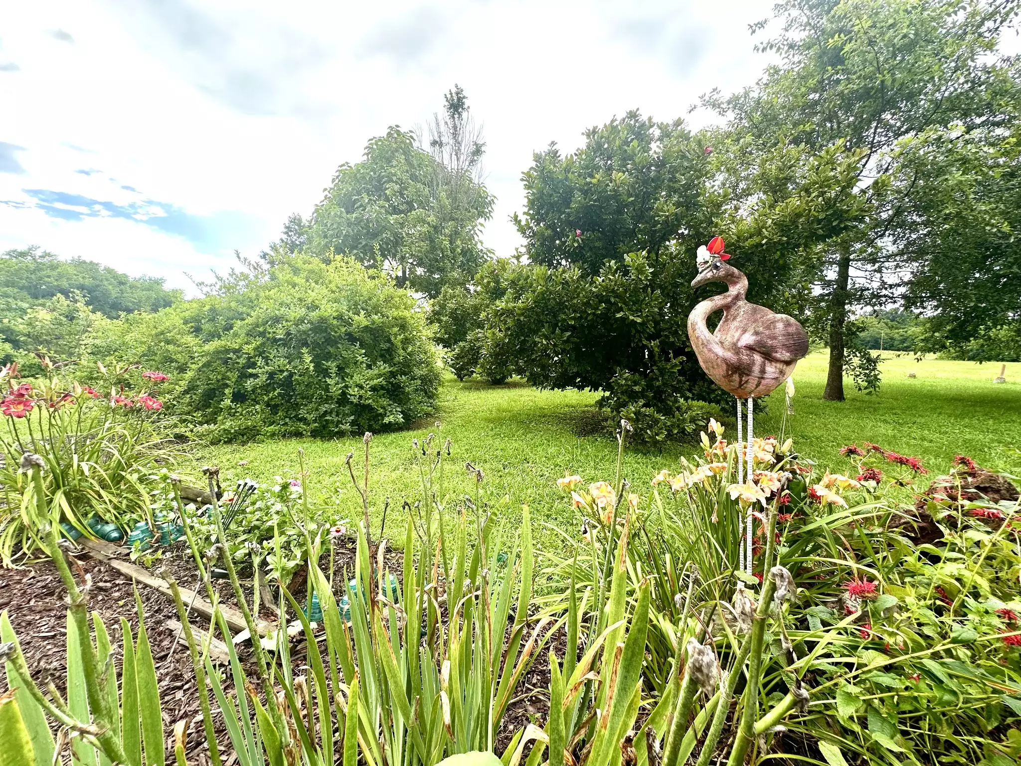 181 Bynum Rd, Bell Buckle, TN  37020