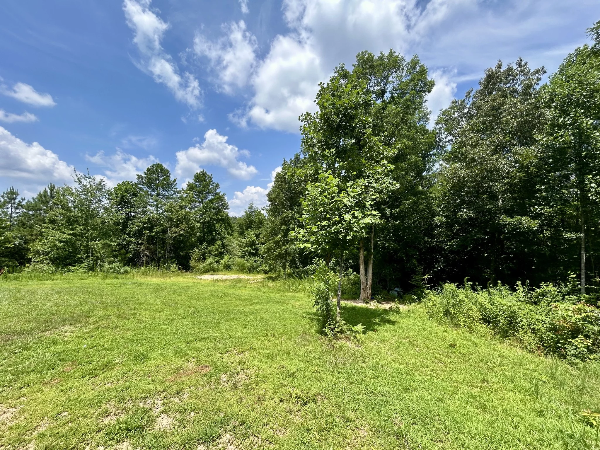 443 Sickler Rd, Hohenwald, TN  38462