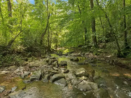 4215 Hampshire Pike, Hampshire, TN  38461