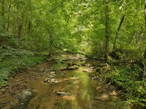 4215 Hampshire Pike, Hampshire, TN  38461