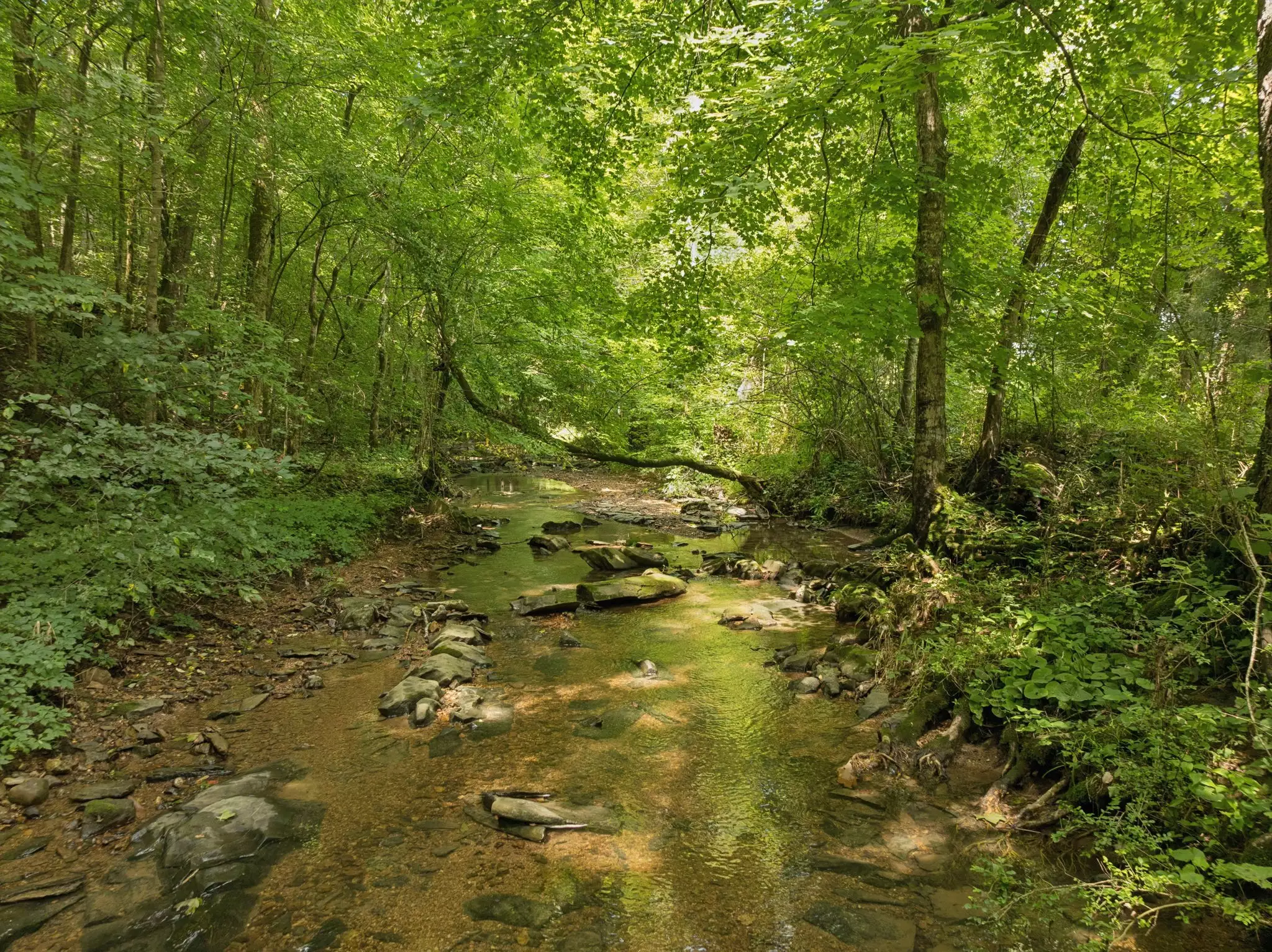 4215 Hampshire Pike, Hampshire, TN  38461