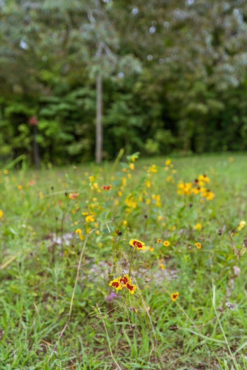 8834 Gann Road, Soddy Daisy, TN  37379