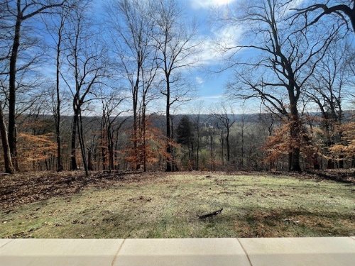 818 Shady Bluff Trl, Clarksville, TN  37043