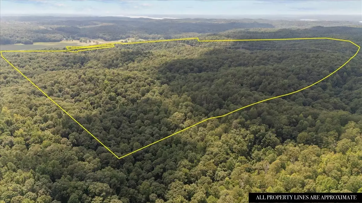 Nix Lane, Waverly, TN  37185