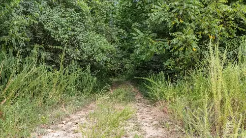 Nix Lane, Waverly, TN  37185