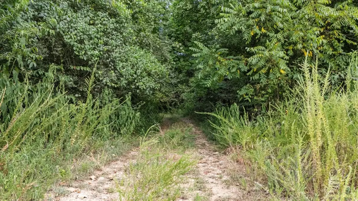 Nix Lane, Waverly, TN  37185