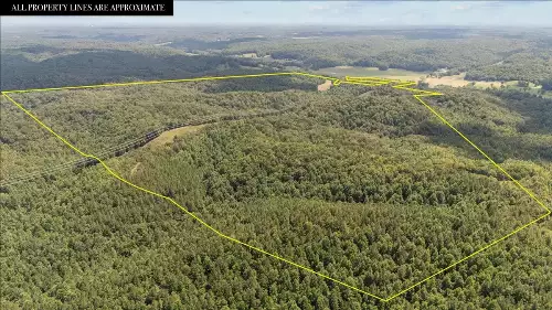 Nix Lane, Waverly, TN  37185