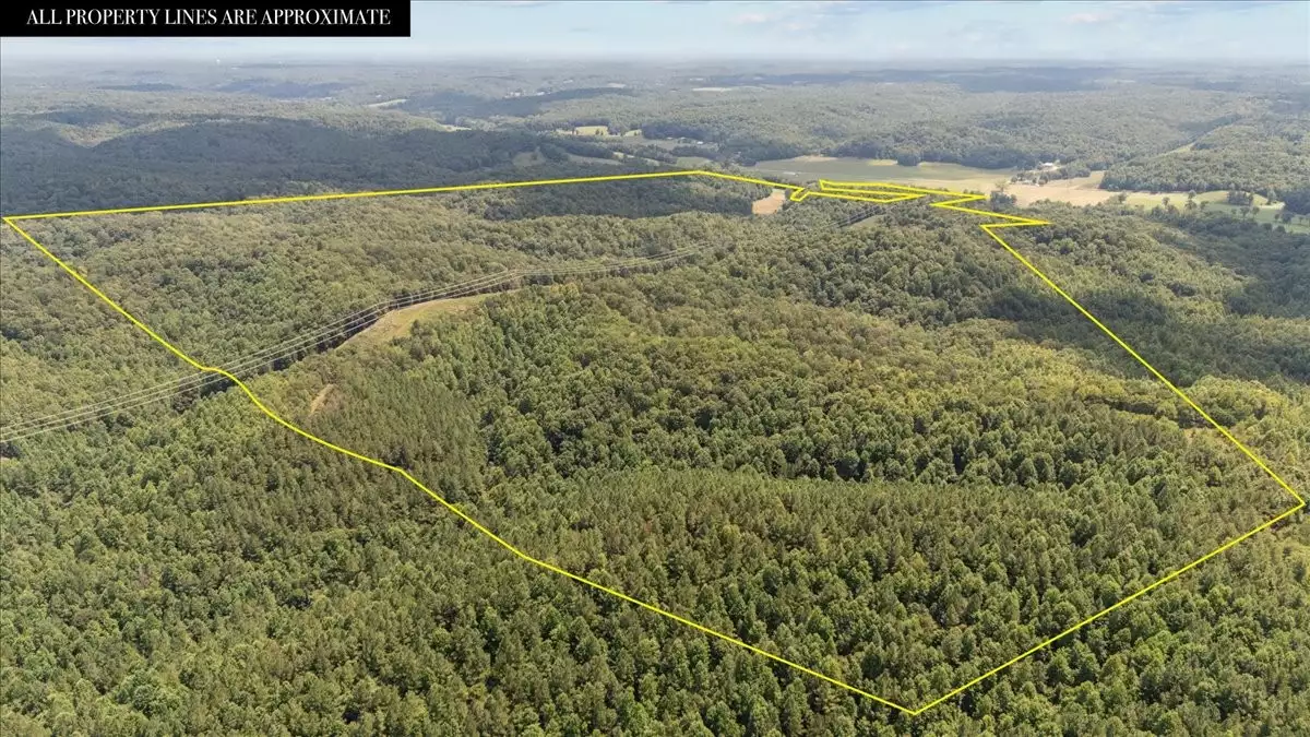 Nix Lane, Waverly, TN  37185