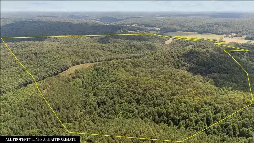 Nix Lane, Waverly, TN  37185