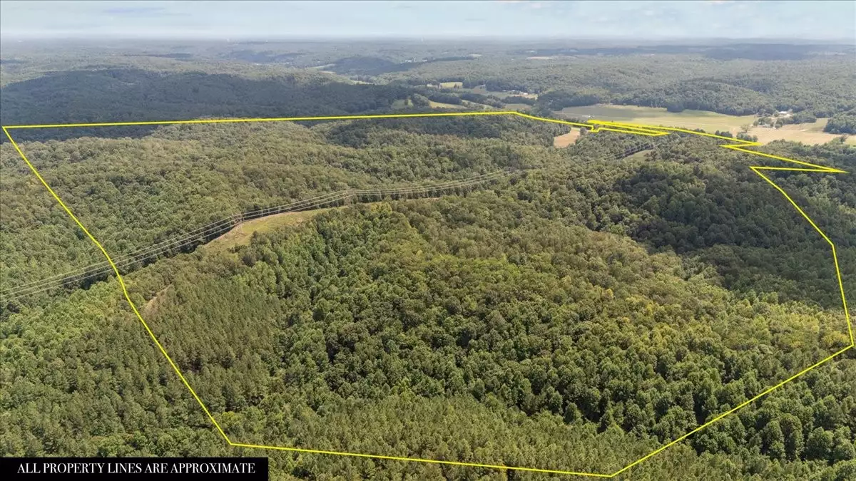 Nix Lane, Waverly, TN  37185