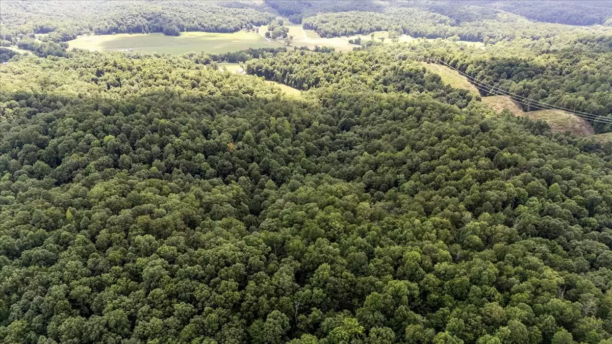 Nix Lane, Waverly, TN  37185