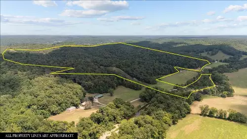 Nix Lane, Waverly, TN  37185