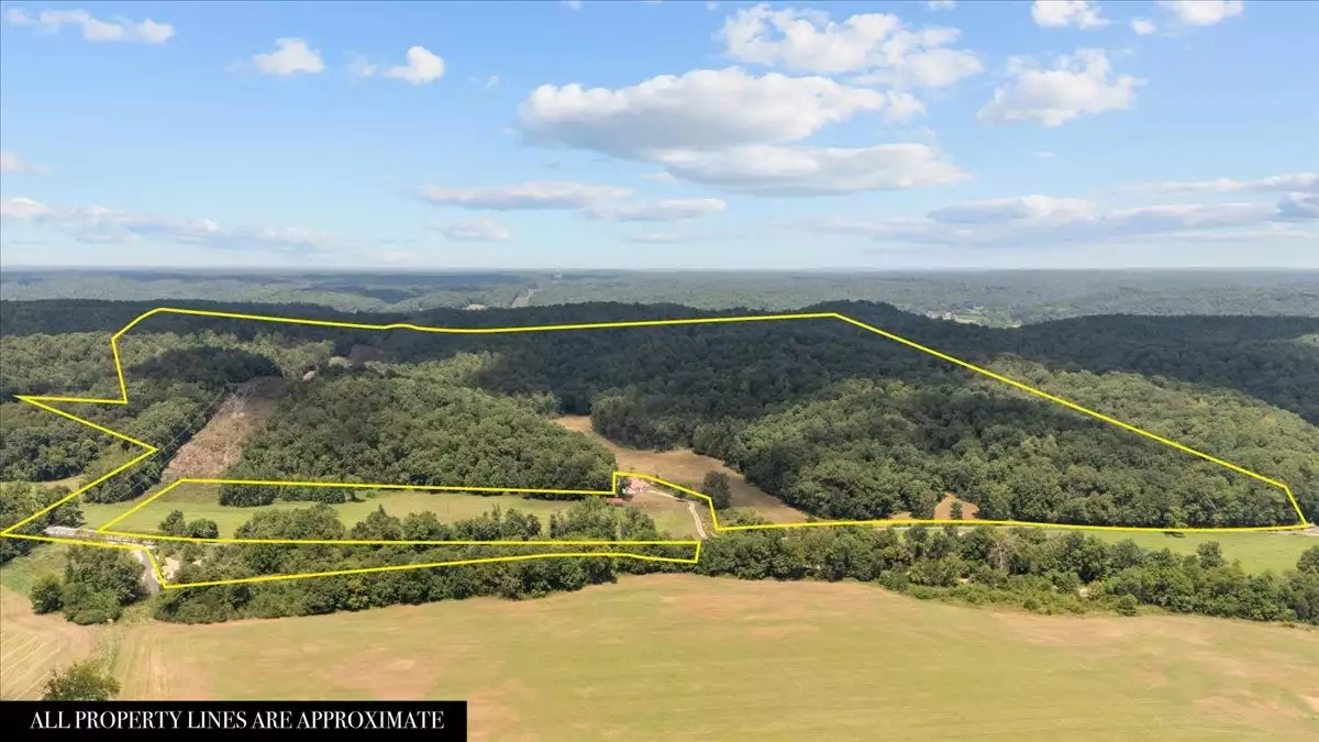 Nix Lane, Waverly, TN  37185