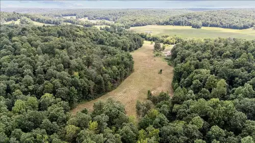 Nix Lane, Waverly, TN  37185