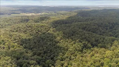 Nix Lane, Waverly, TN  37185