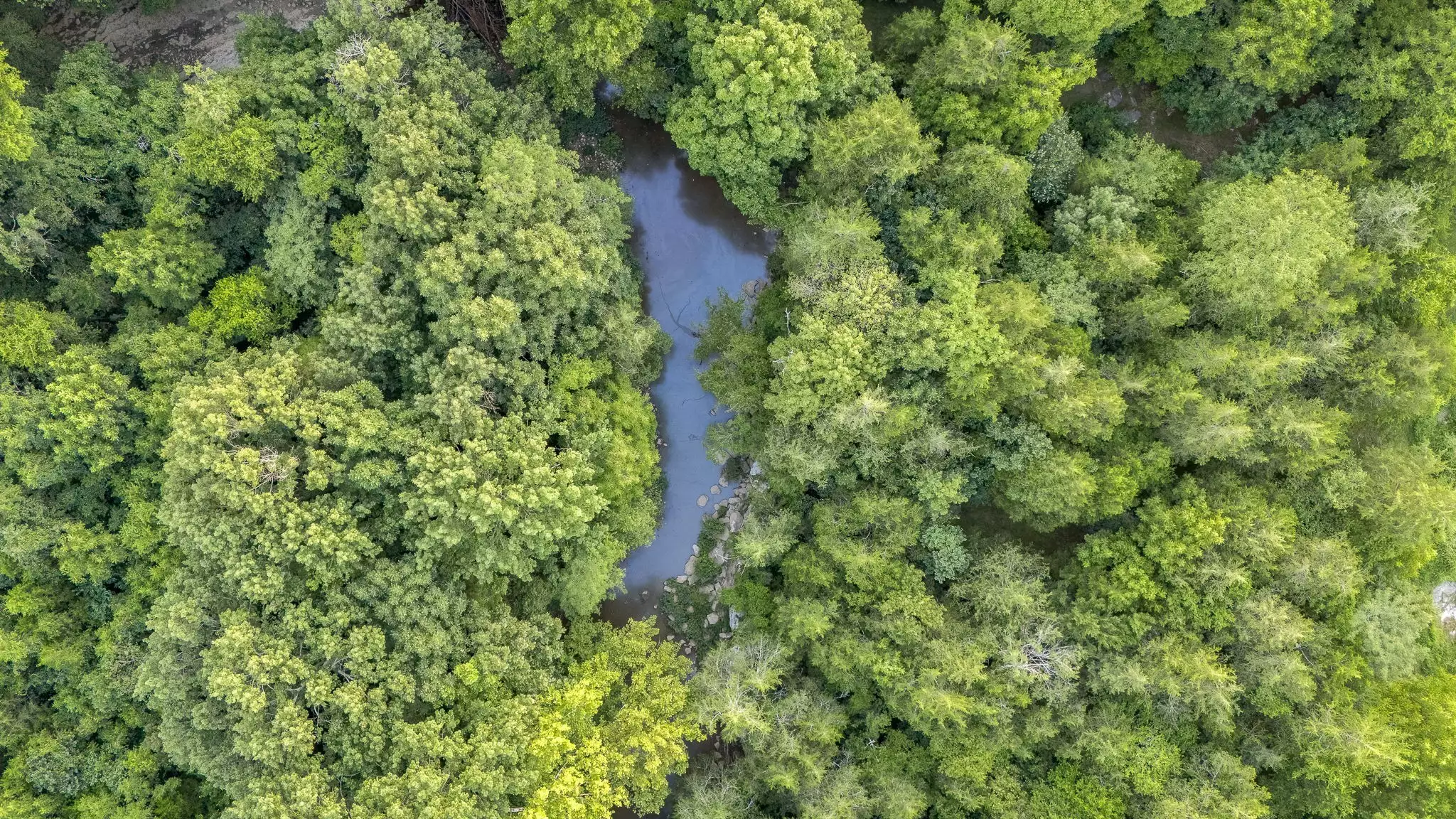 1851 Warner Bridge Rd, Shelbyville, TN  37160