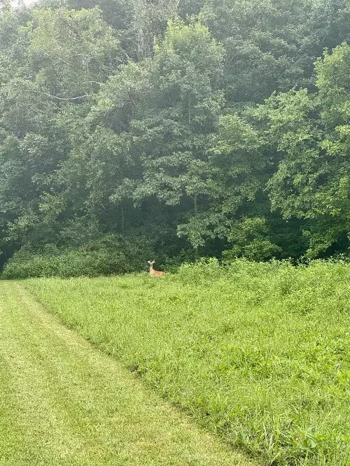 1851 Warner Bridge Rd, Shelbyville, TN  37160