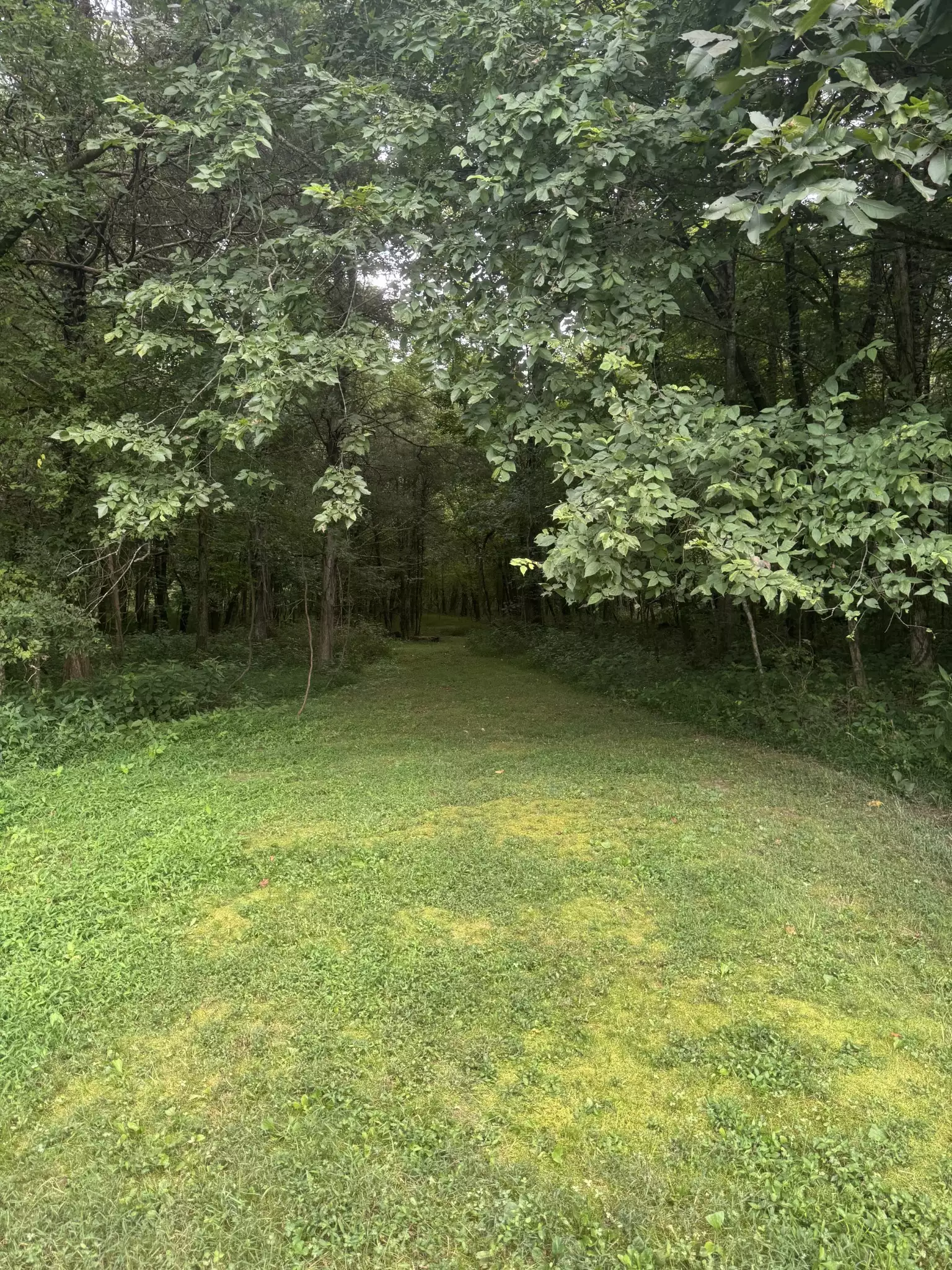 1851 Warner Bridge Rd, Shelbyville, TN  37160