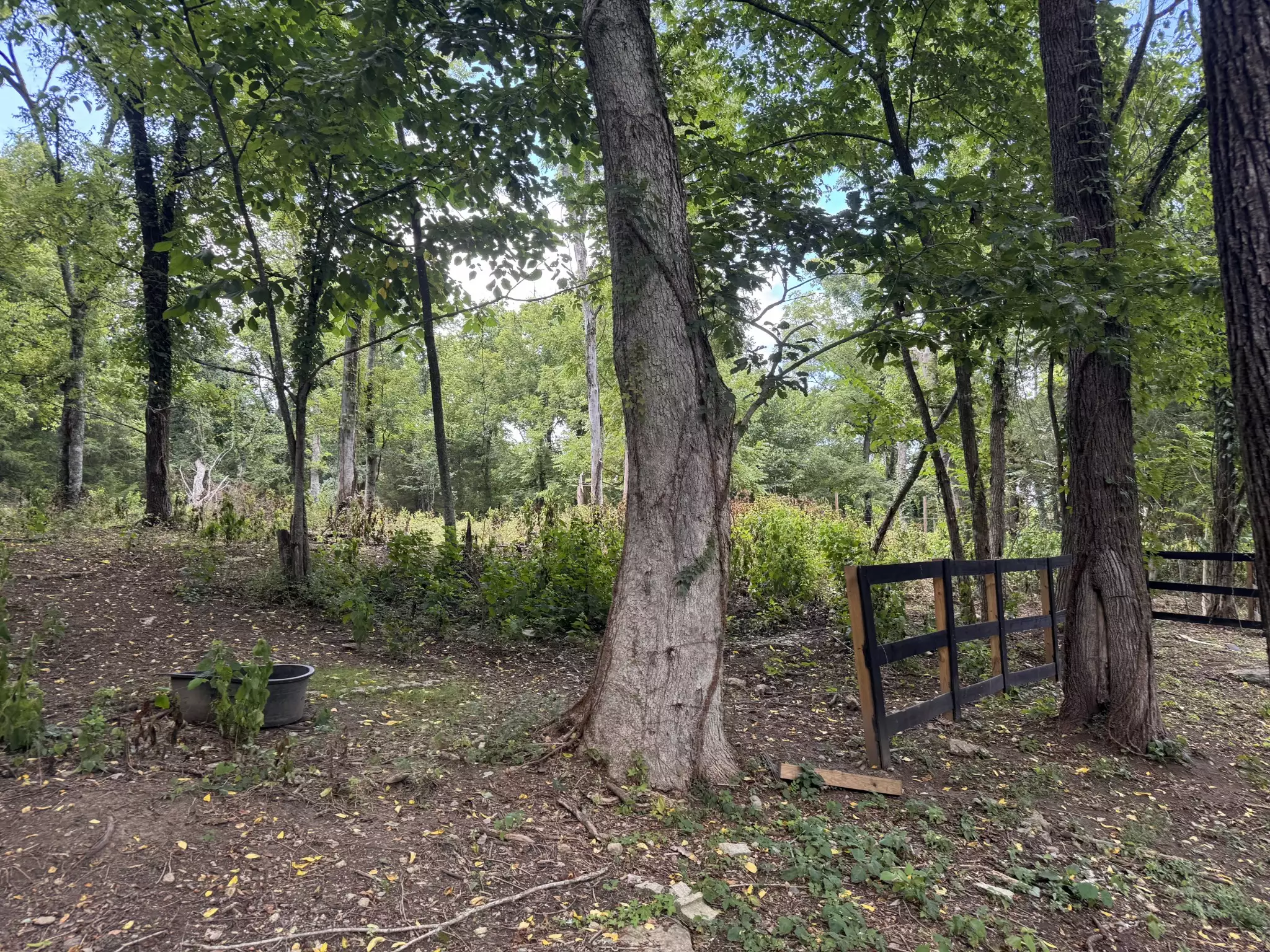 2559 Fayetteville Hwy, Belfast, TN  37019