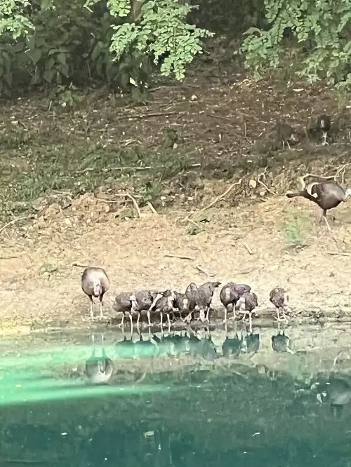 2559 Fayetteville Hwy, Belfast, TN  37019