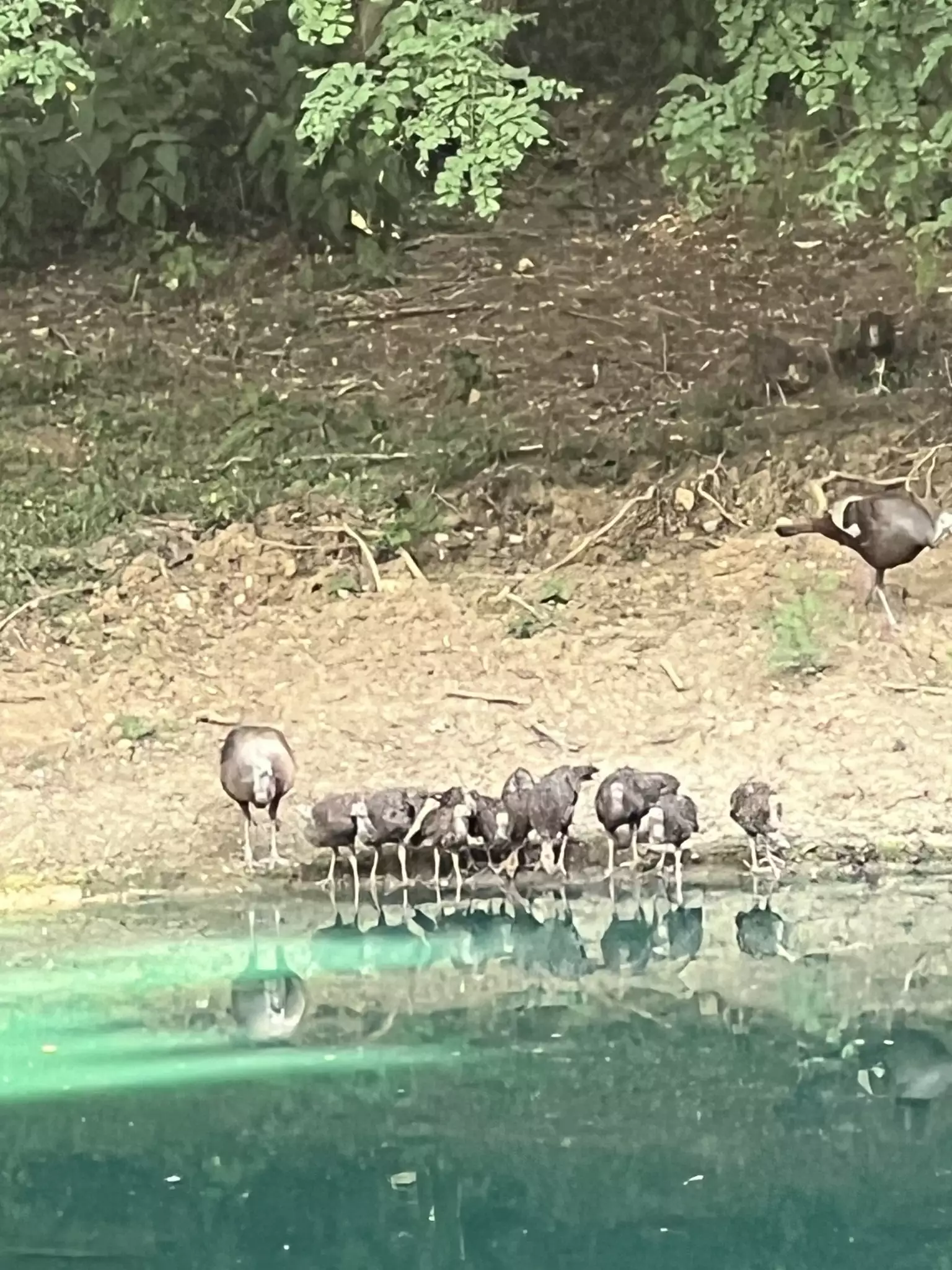 2559 Fayetteville Hwy, Belfast, TN  37019