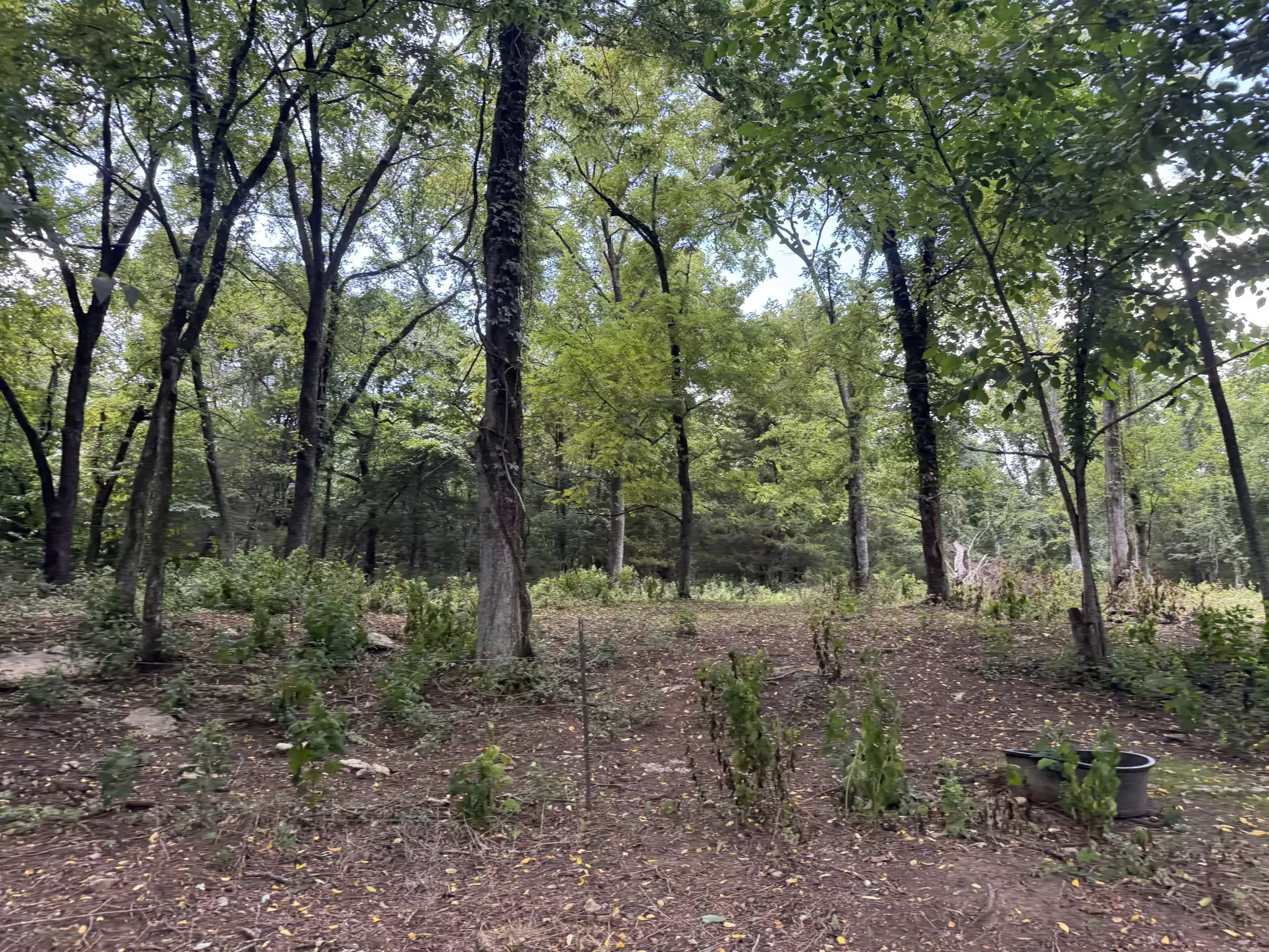 2559 Fayetteville Hwy, Belfast, TN  37019