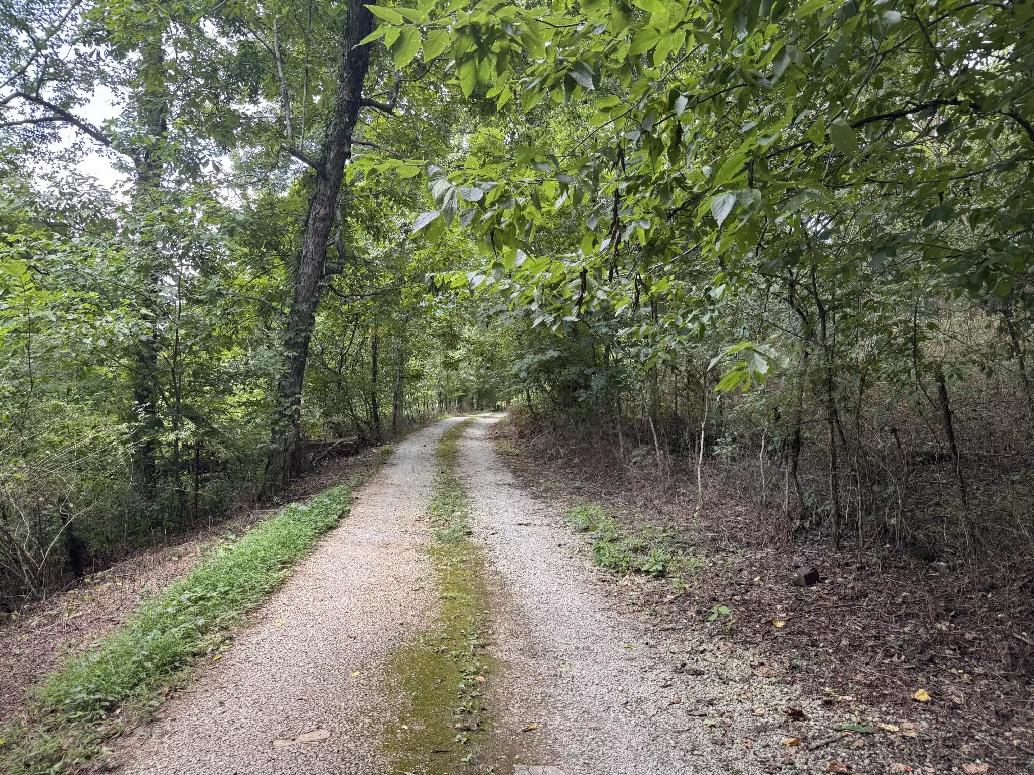 2559 Fayetteville Hwy, Belfast, TN  37019