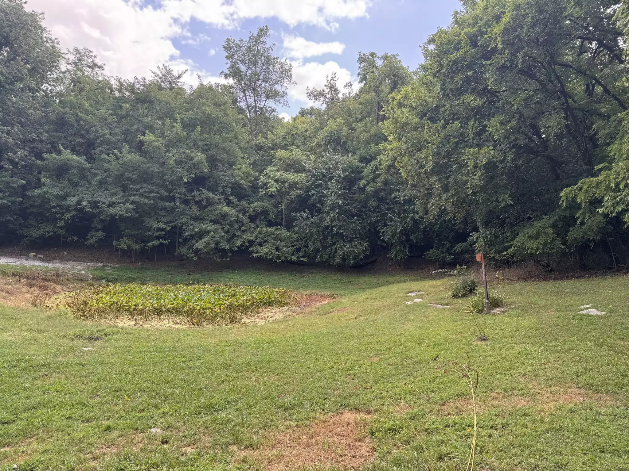 2559 Fayetteville Hwy, Belfast, TN  37019