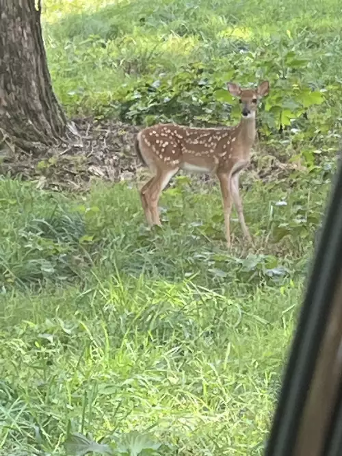 2559 Fayetteville Hwy, Belfast, TN  37019