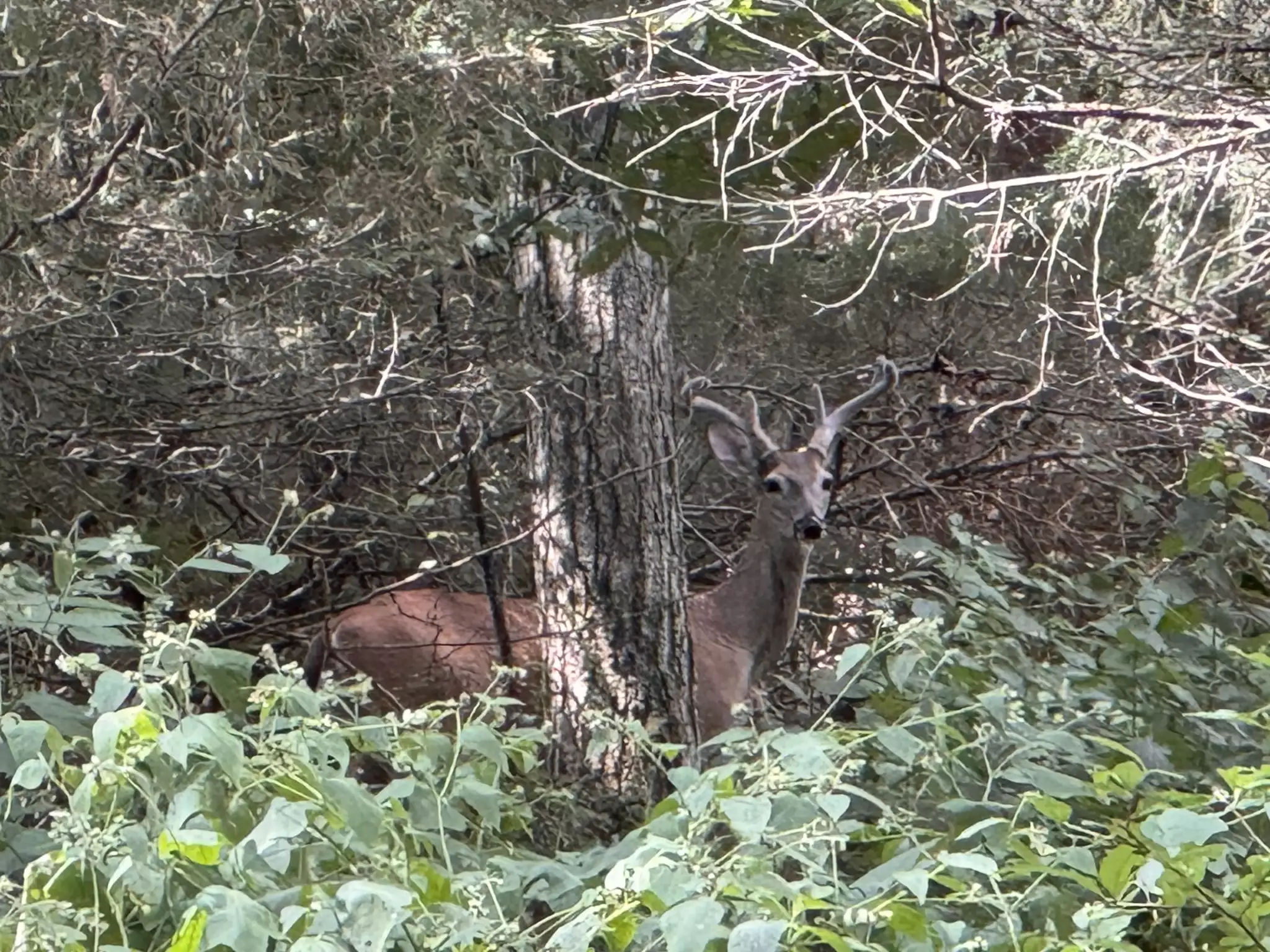 2559 Fayetteville Hwy, Belfast, TN  37019