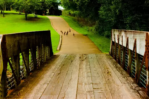 886 Fairington Pvt Way, Gallatin, TN  37066