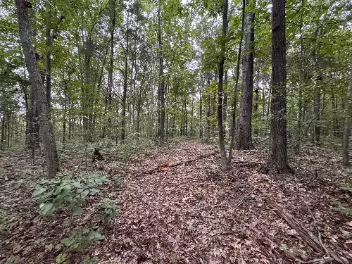 1614 Warner Bridge Rd, Shelbyville, TN  37160